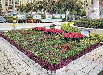 工程案例